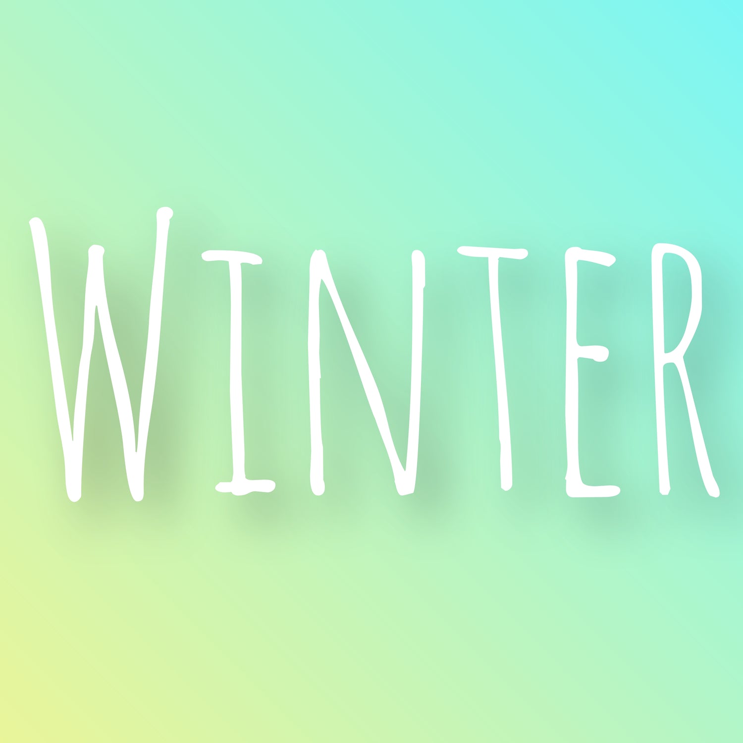 Christmas/ Winter